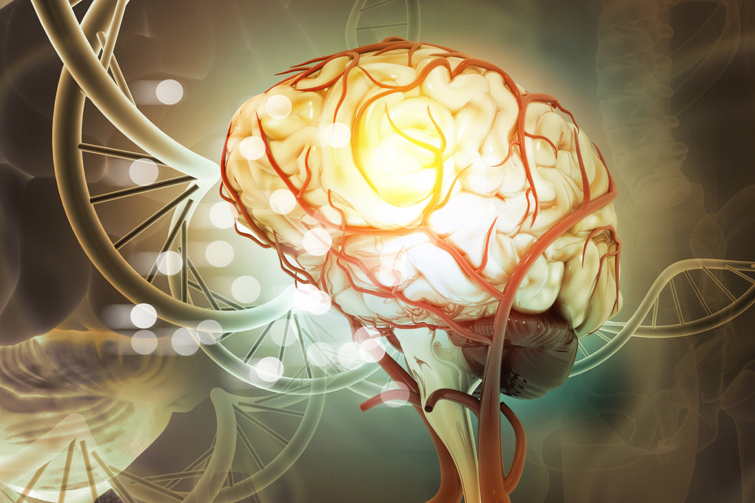 INCONTINENCE STIMULATION NERVEUSE