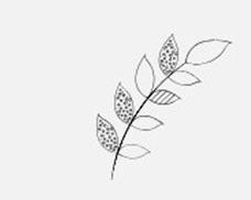 Dessin d'une plante verte naturelle symbolisant le respect de la nature.