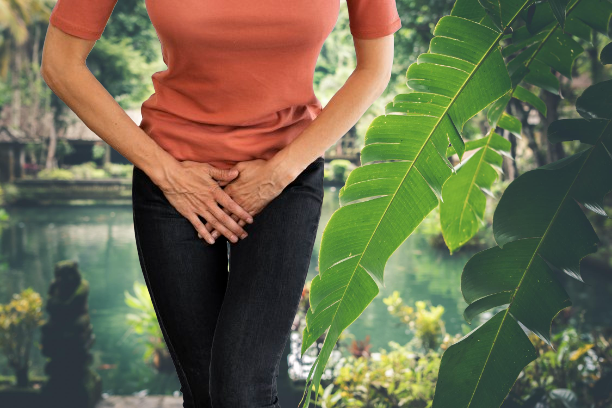 L'Avant confidence donne des conseils pour guérir et propose un mode d'emploi à suivre pour limiter les fuites urinaires. Une femme avec un jean noire et un tee shirt orange met ses 2 mains devant son pubis car elle souffre de fuites urinaires. Derrière elle, il y a un décor zen et relaxant avec un lac, de la végétation et des grandes feuilles qui retombent à coté d'elle.